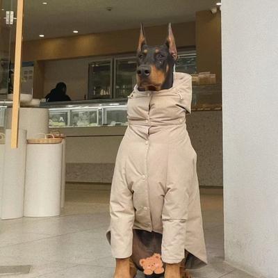 Large Dog Warm Clothing Jacket Waterproof Warm Comfortable Solid Colored Cotton Coat Side Grazing Alaska Medium Large Dog Coat