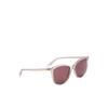 Polaroid C PLD 4138/S Sunglasses
