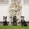 Garten Metall Hundestatuen Outdoor Tierdeko