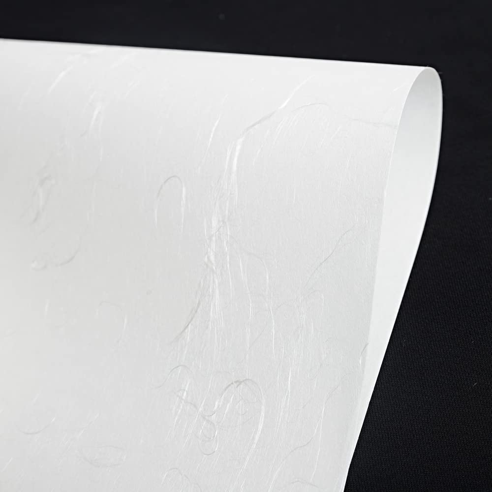 Copy Japanese Printed Japanese Food Iyo Food Silver 50 Sheets Paper, Paper, Paper, Menu, Paper, Washi, Dragon, A4,