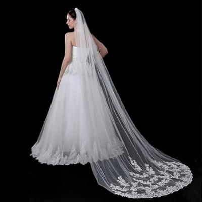 Long Cathedral Veil Bride Lace Wedding Veils Floral 1T Soft Tulle Bridal Veils with Comb