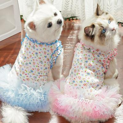 Abbigliamento e scarpe – Abiti per cani