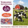 50Pcs ABS Numbered Labels Numbered 51-100 Beekeeping Supplies Animal Husbandry Tags  Beekeeping