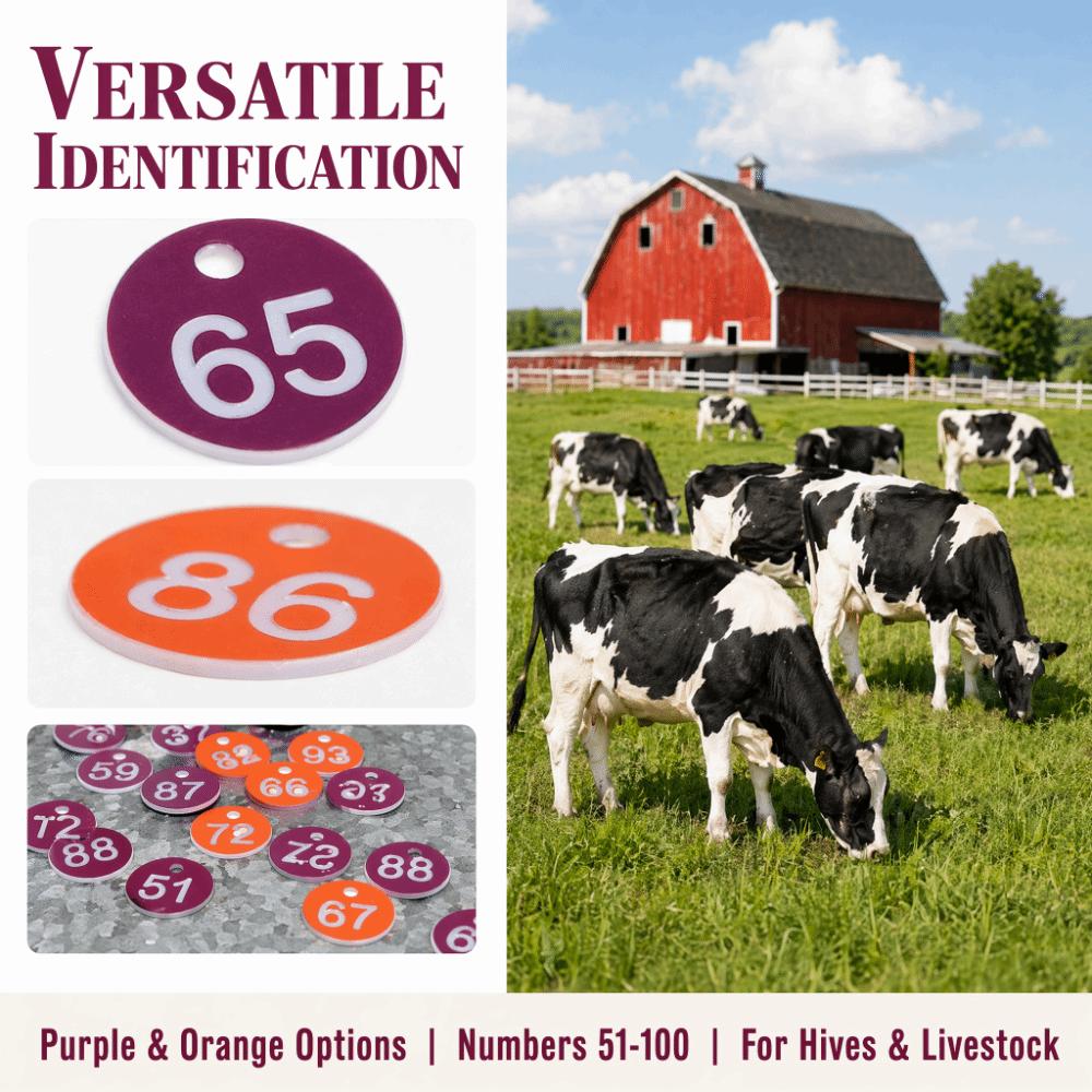 50Pcs ABS Numbered Labels Numbered 51-100 Beekeeping Supplies Animal Husbandry Tags Beekeeping