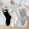 1319 Button Tab Brand Button Lettering Fashion Socks