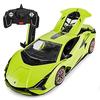 118 Scale Lamborghini Sián Radio-Controlled Car Kit, Assembly Kit, Doors Open Manually, RC Model Kit, 2.4GHz