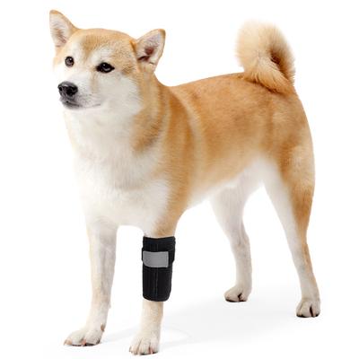 La Cinghia di Recupero per Infortunio alla Gamba Anteriore con Velcro del Ginocchiera per Cani Protegge l'Articolazione del Cane e la Ginocchiera Regolabile