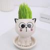 Plants Pot Decorative Anti-cracking Compact Mini Cat Shaped Flower Pots for Landscaping Decoration