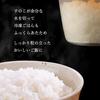 Inomata Chemical (Inomata-K) Rice Containers with Slatted Base, Set of 3, Made In Japan, Steam Release for Delicious Storage, Microwaveable with Lids