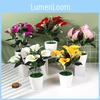 Artificial Silk Miniature Plant Decorative Piece For Indoor Weddings And Event Decorations