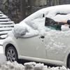 Ice Scrapers For Car Windshield Auto Windshield Snow Shovel Windscreen Defrost Shovel For Kitchen Outdoor Car Driveway Patio
