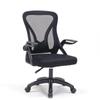 Ergonomic Study & Office Chair: Comfortable, Reclining, Adjustable—Stay Energized During Long Sessions
