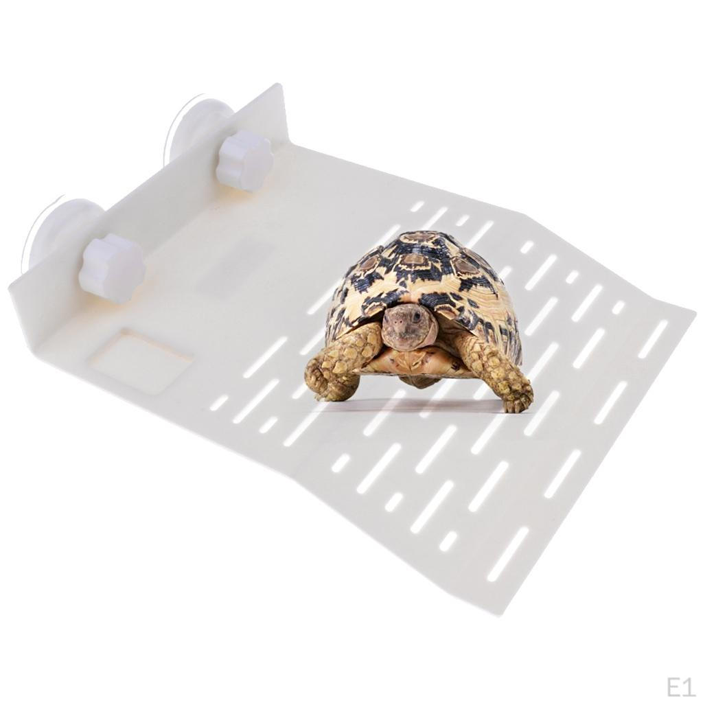 Akvarium Tank Reptil Sköldpadda Terrass Flytande Plattformsbrygga Hylla Gåva, L