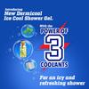 DermiCool Shower Gel 250ml Pack of 1 With Triple Cooling Action And Germ Protection For Summer Relief