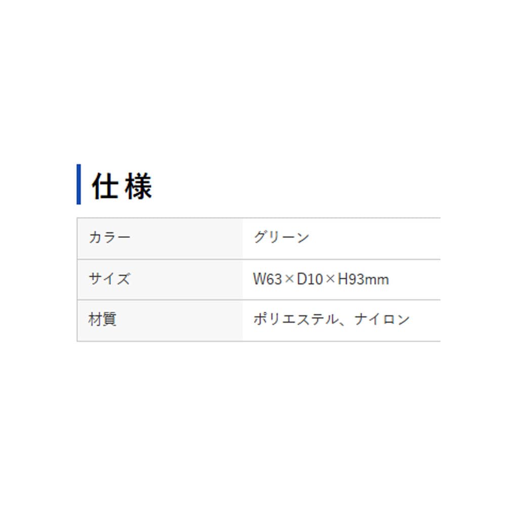Sanwa Supply Display Cleaning Pad (Green) CD-CC23G