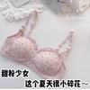 Japanese steel rim underwear bra women's small breasts thin summer cute sweet no new models development period students high school