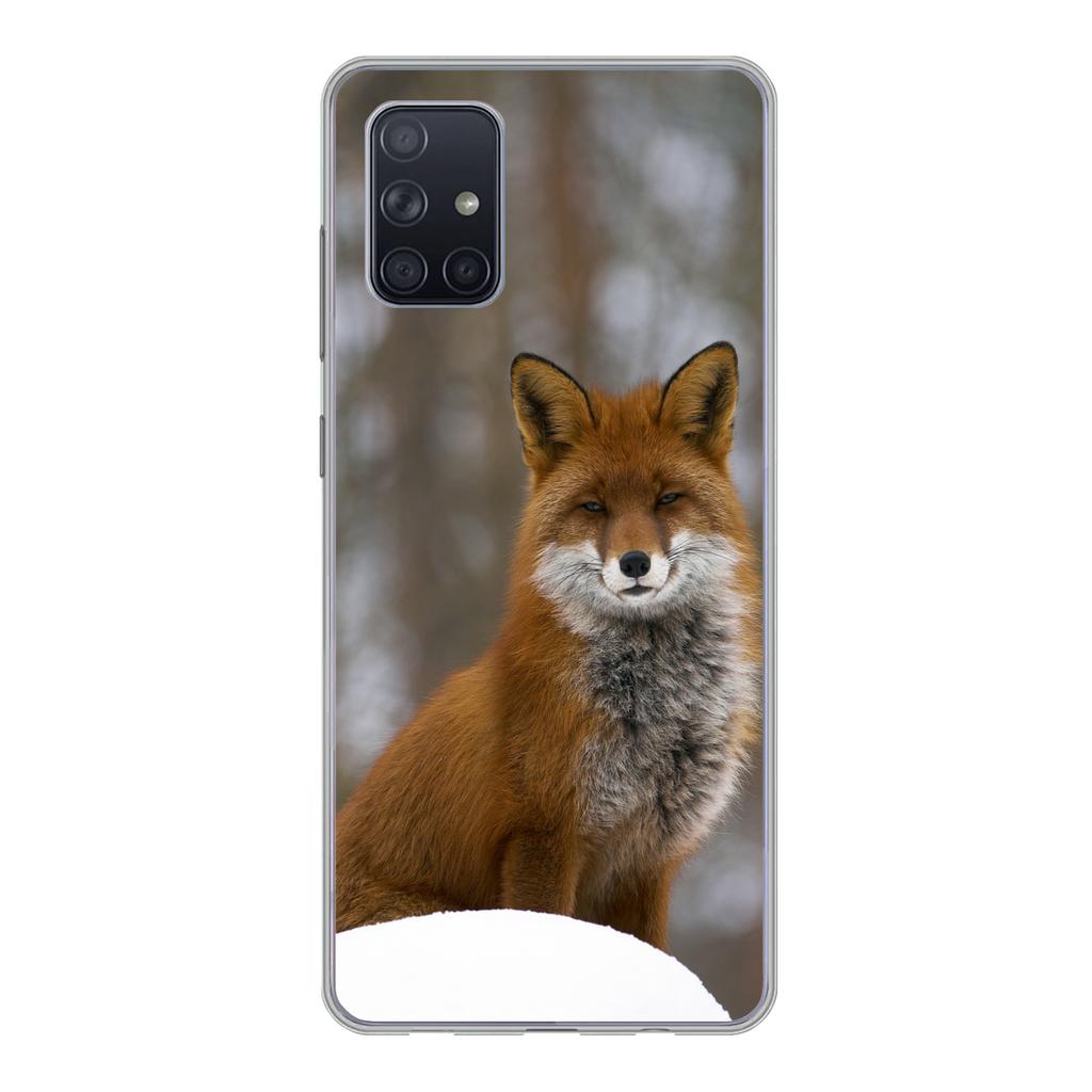 Red Fox Samsung Case