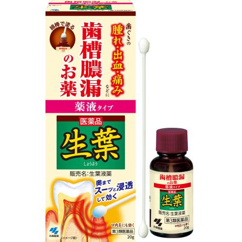[Third-class OTC drug] Fresh leaf liquid medicine 20g