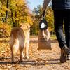 Zippered Dog Training Treat Bag Spill-Proof Pet Treat Pouch Halloween Dog Snack Pack  Hiking