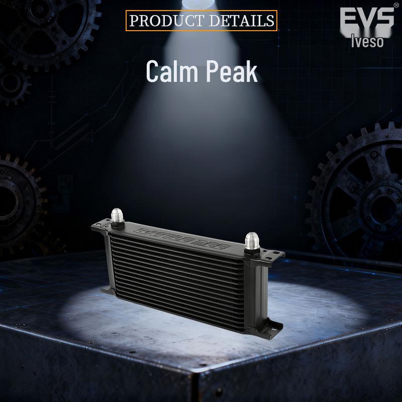 BMW E87 E91 2.0T N46B20 Engine Oil Cooler Radiator Kit