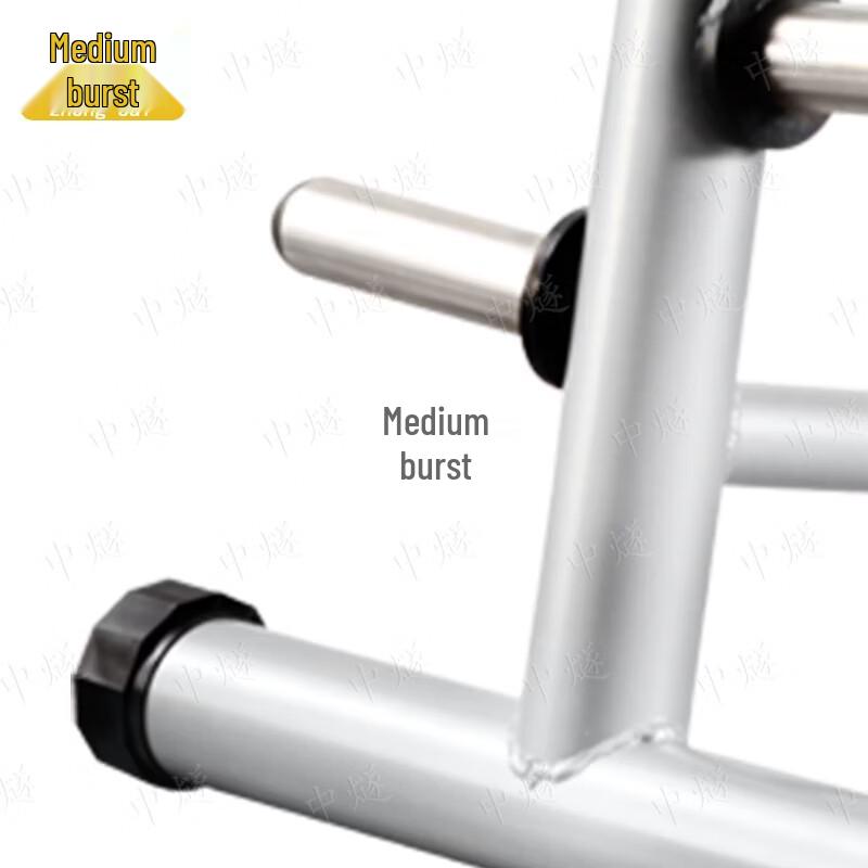 ZhongSui Commercial Barbell Plate Storage Rack