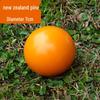 Children's Outdoor Sensory Training Gateball Croquet Mallet - Fun Group Sports Accessory