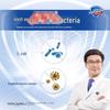 Safeguard Antibacterial Bar Soap Assorted 3-Pack