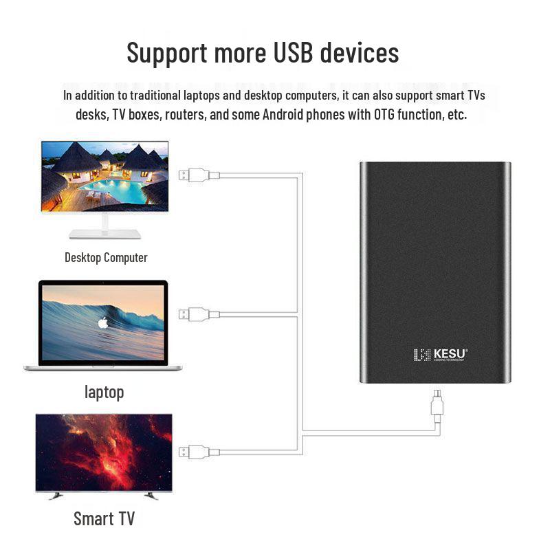 High-Speed 1TB USB 3.0 Tragbare Festplatte, Großkapazität 2TB Externes Speichergerät