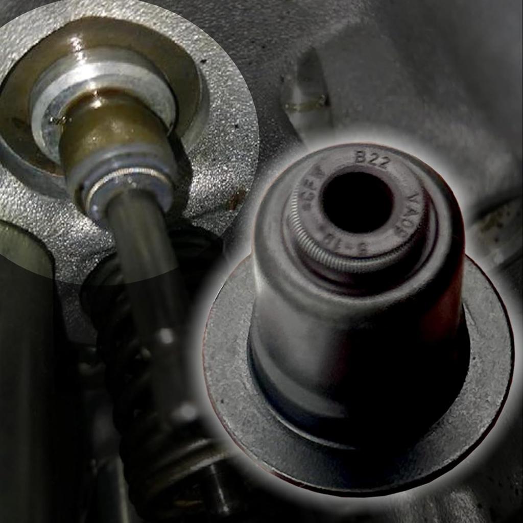 11340034068, Originalteil, Ventilschaftdichtungsatz, Für BMW N52 B58 N53 N55 N54 S55 Motor Einlassventil Dichtung