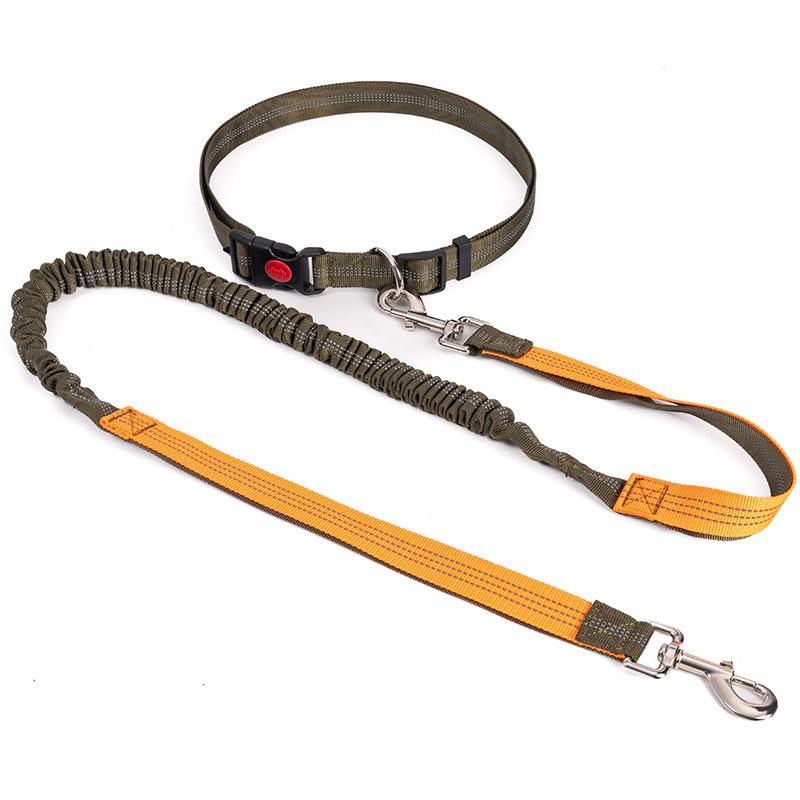 Empty Shell Weight Carrying Strap Vest with Pockets Muscle Training Kit Dogo Argentino American Pit Bull Large Canine K9 Jacket