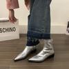French Fashion Thick Heel Short Boots Women's Shoes 2025 New Spring and Autumn Single Boots Pointed Silver Temperament Thin Boots