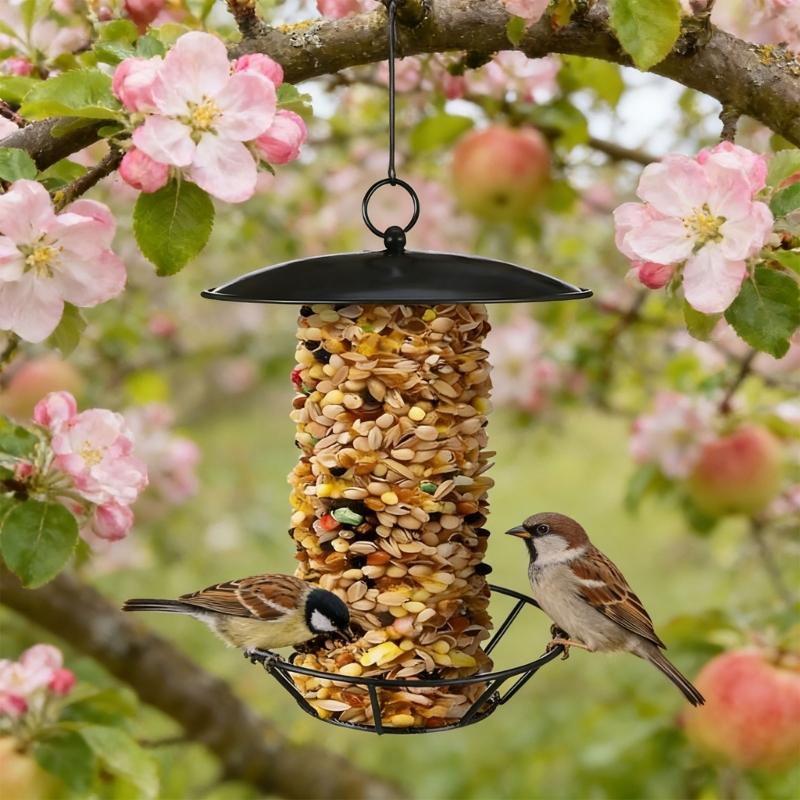 Pack Of 2 Practical Easy Installation Hanging Bird Feeders Simple Setups Metal Construction For Garden Placement