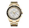 Adriatica A8245.1113CH Watch