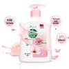 Dettol Antibacterial Moisturizing Hand Wash