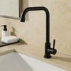 Stainless Steel Kitchen Faucet Convenient Universal Wall Mounted Faucet Wall-mounted Black Single Cold Water Tap Restaurant