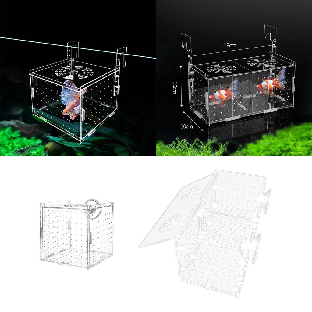 Aquarium Breeding Box Separator Clear Acclimation Hatchery Tank Box for Clown Guppy Small es