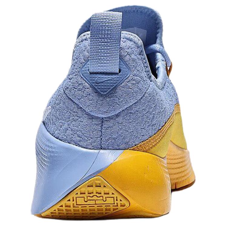 Nike LeBron TR 1 Aluminium University Gold Herren Sneaker Blau Weiß FJ6151-401