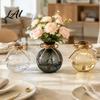 Floral Display Pot for Living Room Clear Round Resin Vase Transparent Sphere Flower with Jute Glass Vase Flowers Bow Modern Plastic Planter
