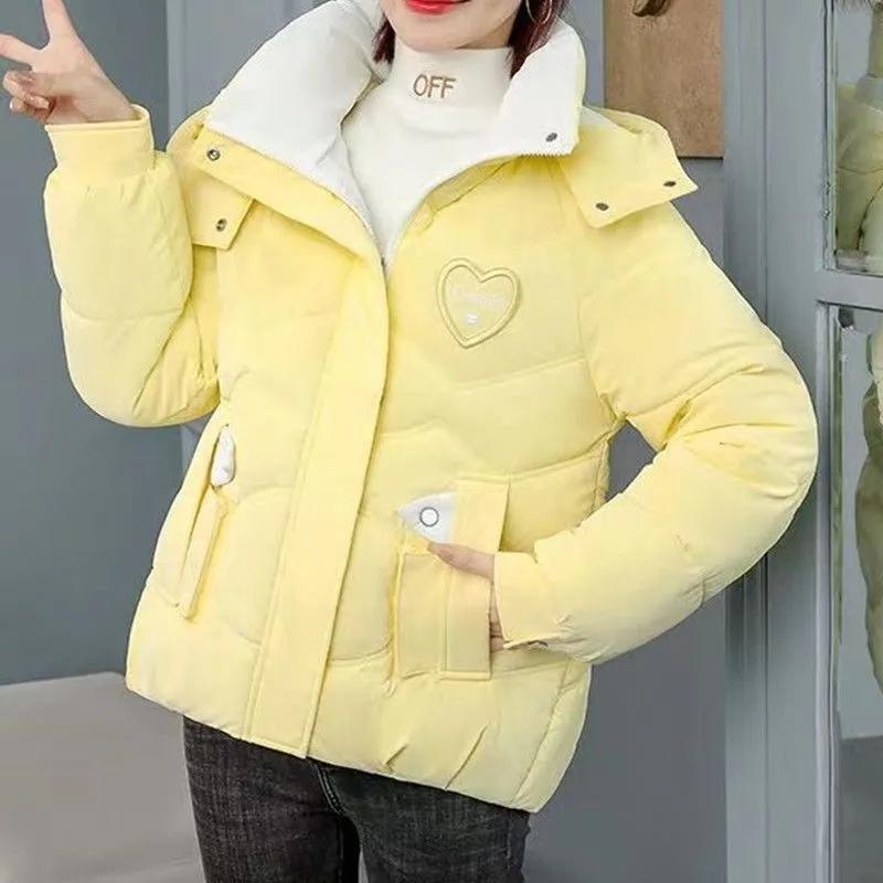 Women Winter Loose Thick Warm Hooded Parkas Casual Waterproof Outwear