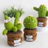 Mini Finished Crochet Cactus Potted Emotional Support Stuffed Plants Home Decor  Mother Valentine Christmas Graduation Gifts