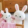 Creative Rabbit Cabbage Plush Toy Doll Cartoon Cute Rabbit Pillow Doll Children's Gift