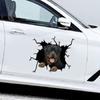 Tear Cute Rottweiler Dog Exposed Tongue Decal for Car Body, Bumper Waterproof Cover Scratch Sticker Maximum Size 15cm