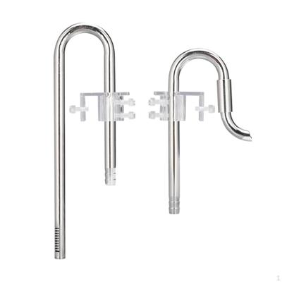 Lily In for Aquarium Planted Tank (12MM )