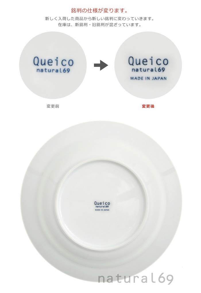 Natural69 Cocomarine Pasta Plate with School of Fish Natural69 Hasami Ware Large Curry Microwave and Dishwasher Made In Stylish and Nordic Japanese