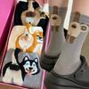 1/4 Pairs Cartoon Cute Dog Cat Print Floor Sock Cotton Knitting Cats Balls Sock for Couple Friend Middle Tube Sleep Hosiery