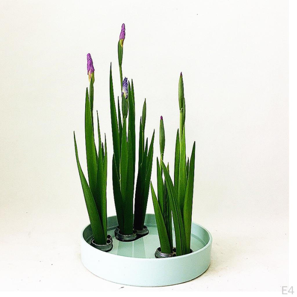 Ikebana Professional Tools Japanese Shippo Flower Arranging Frog Fix Holder