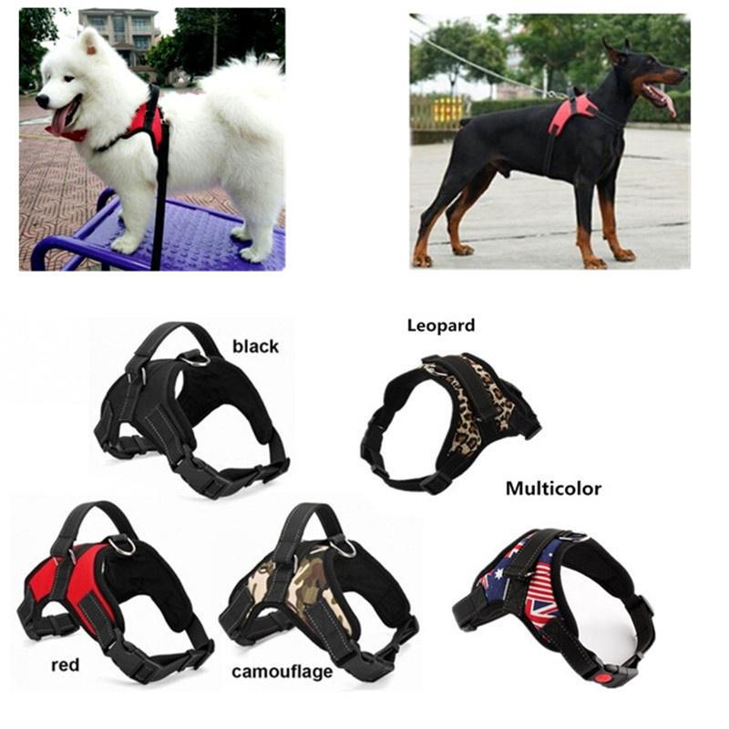 dog chest collar