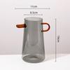 Glass Flower Vase Handle Pitcher Colored Transparent Flower Pot Flower Arrangement Hydroponics Terrarium Vases Pots Flowerpot