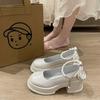 Fairy style small leather shoes white with skirt high heels single shoes French thick heel Mary Jane women's shoes 2025 summer and autumn new models