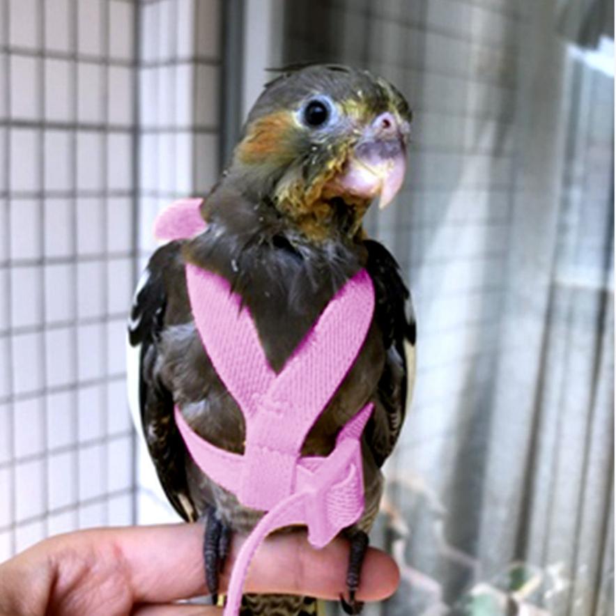 Parrot Flying Harness Rope Bird Walking Rope Ultra-light Flying Towing Rope